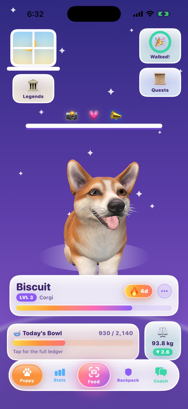 The Den at night, deep indigo sky with sparkles, Biscuit the corgi looking at the camera