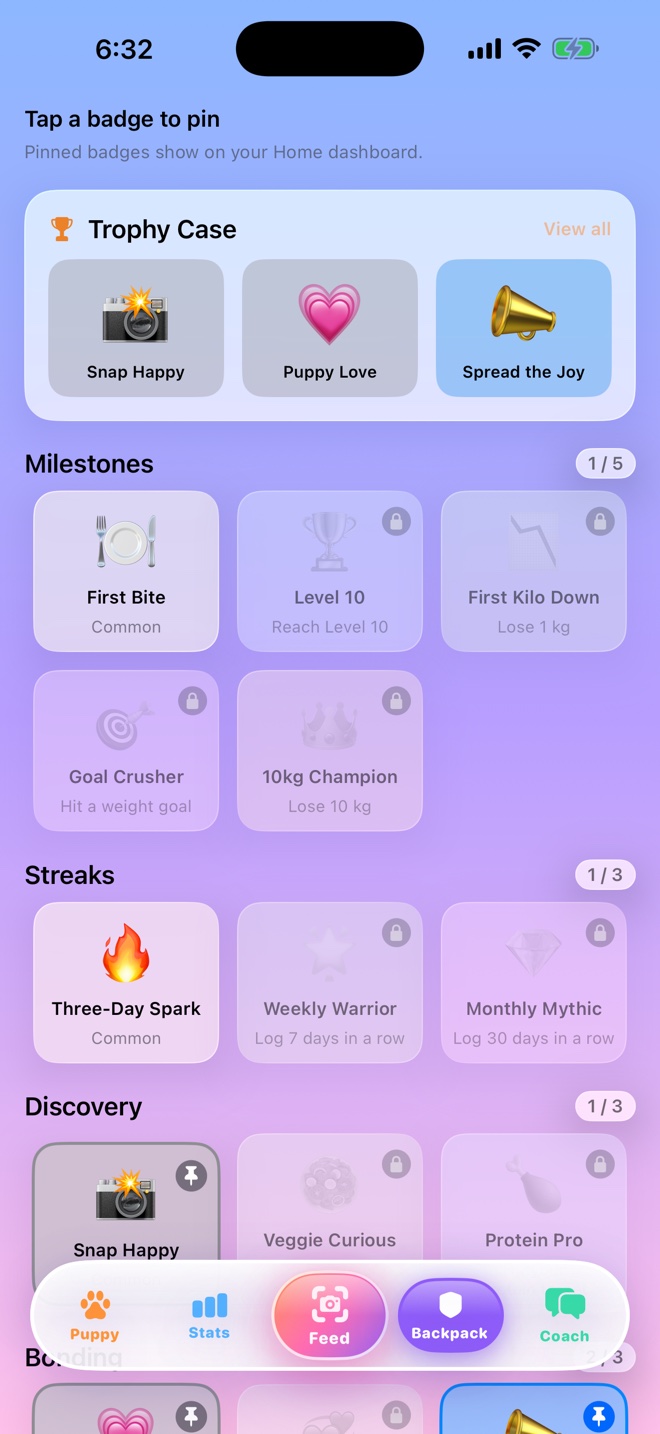 Trophy Case and badge grid